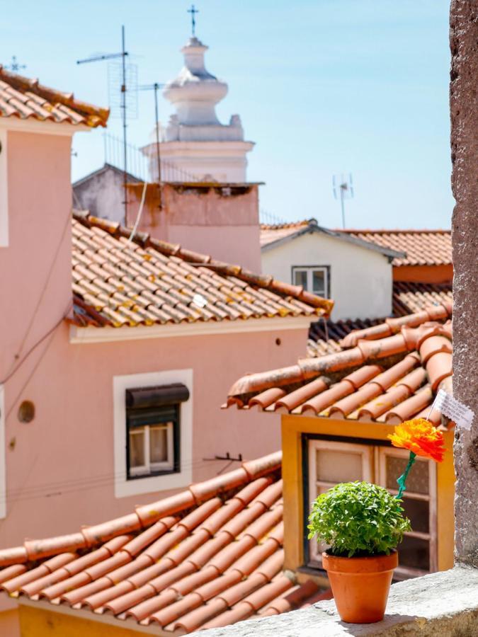 Appartement Lisbon Alfama Terrace Extérieur photo